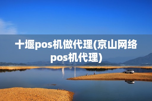 十堰pos机做代理(京山网络pos机代理)