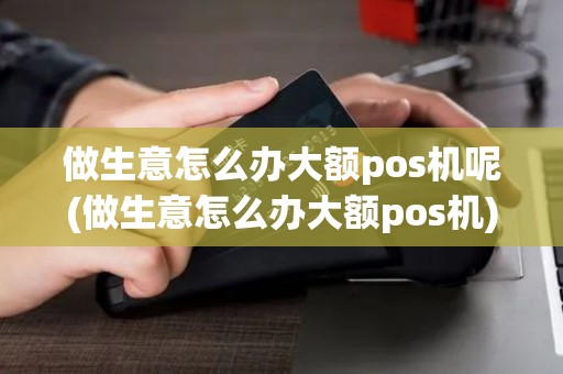 做生意怎么办大额pos机呢(做生意怎么办大额pos机)
