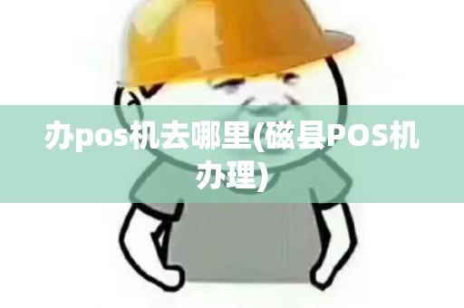办pos机去哪里(磁县POS机办理)