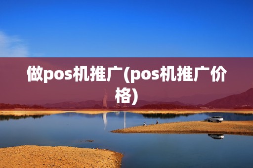 做pos机推广(pos机推广价格)