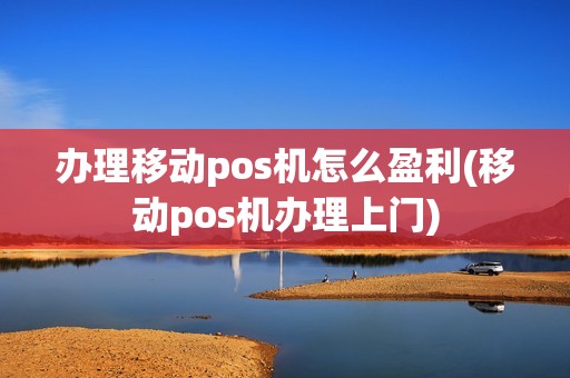 办理移动pos机怎么盈利(移动pos机办理上门)