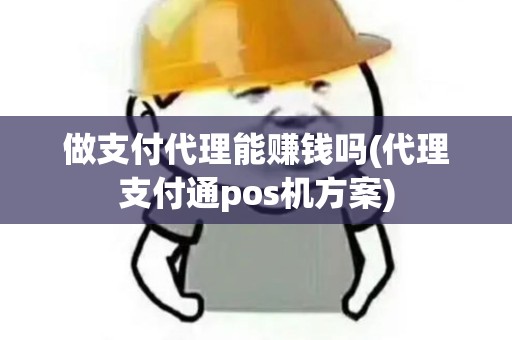 做支付代理能赚钱吗(代理支付通pos机方案)