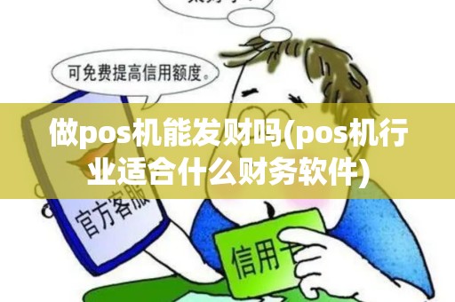 做pos机能发财吗(pos机行业适合什么财务软件)
