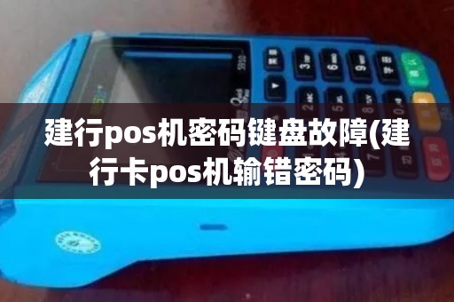 建行pos机密码键盘故障(建行卡pos机输错密码)