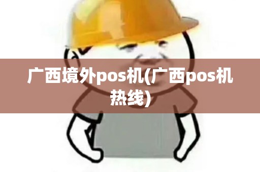 广西境外pos机(广西pos机热线)