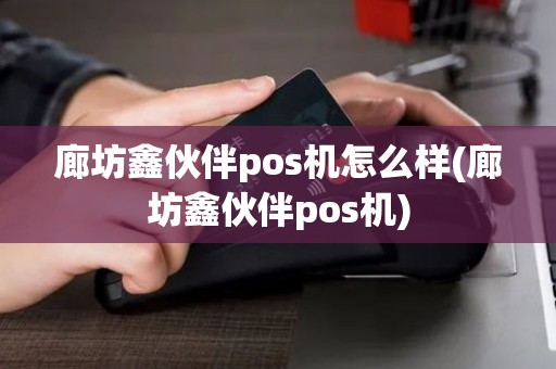 廊坊鑫伙伴pos机怎么样(廊坊鑫伙伴pos机)