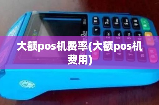 大额pos机费率(大额pos机费用)