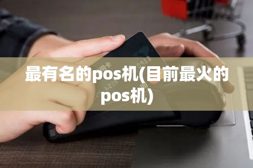 最有名的pos机(目前最火的pos机)