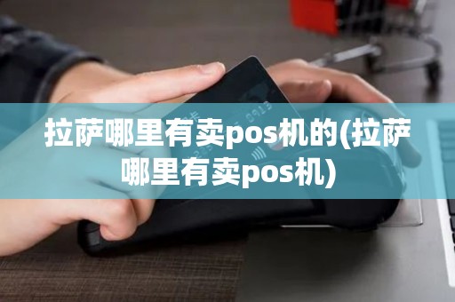 拉萨哪里有卖pos机的(拉萨哪里有卖pos机)