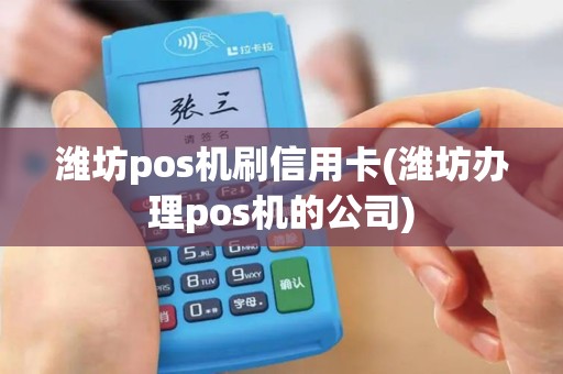 潍坊pos机刷信用卡(潍坊办理pos机的公司)