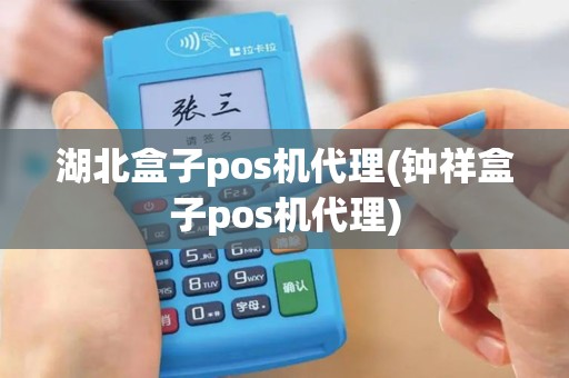 湖北盒子pos机代理(钟祥盒子pos机代理)