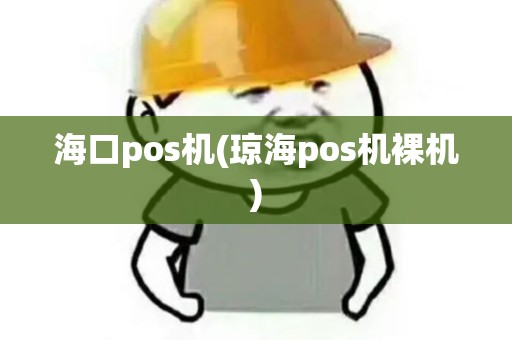 海口pos机(琼海pos机裸机)
