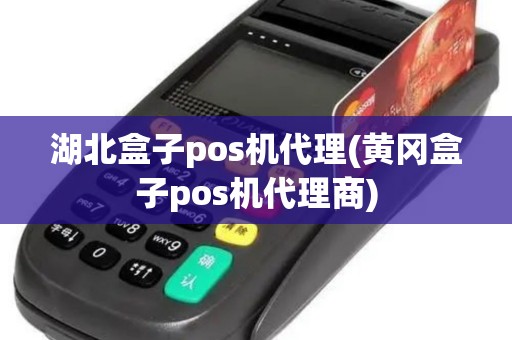湖北盒子pos机代理(黄冈盒子pos机代理商)
