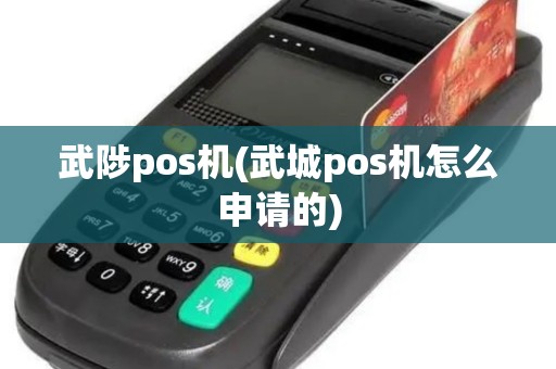 武陟pos机(武城pos机怎么申请的)