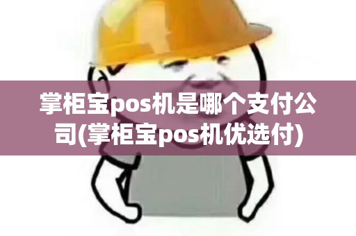 掌柜宝pos机是哪个支付公司(掌柜宝pos机优选付)