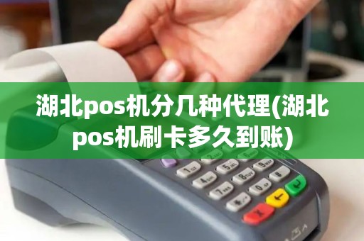 湖北pos机分几种代理(湖北pos机刷卡多久到账)