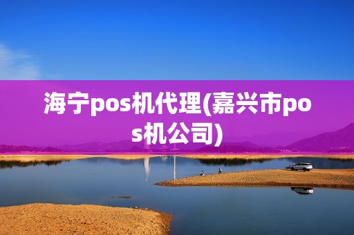 海宁pos机代理(嘉兴市pos机公司)