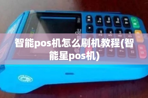 智能pos机怎么刷机教程(智能星pos机)
