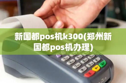 新国都pos机k300(郑州新国都pos机办理)