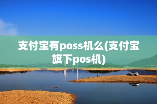 支付宝有poss机么(支付宝旗下pos机)