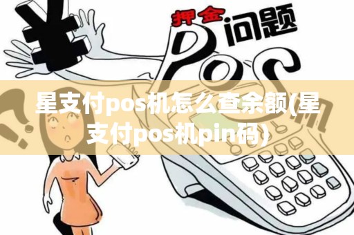 星支付pos机怎么查余额(星支付pos机pin码)