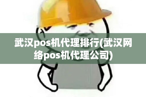 武汉pos机代理排行(武汉网络pos机代理公司)