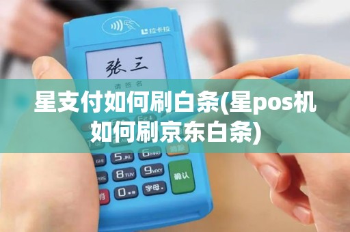 星支付如何刷白条(星pos机如何刷京东白条)