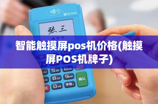 智能触摸屏pos机价格(触摸屏POS机牌子)