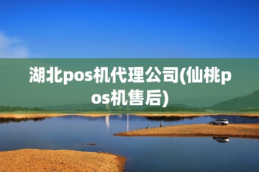 湖北pos机代理公司(仙桃pos机售后)