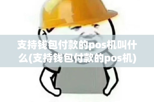 支持钱包付款的pos机叫什么(支持钱包付款的pos机)