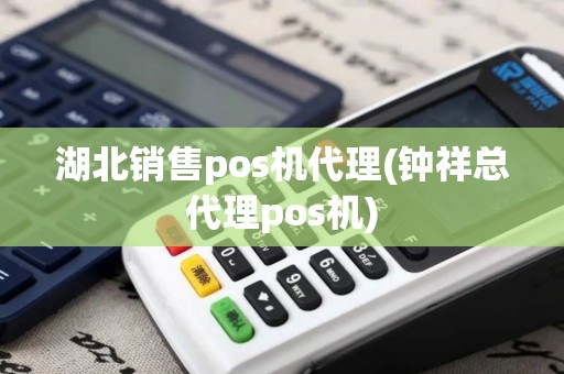 湖北销售pos机代理(钟祥总代理pos机)