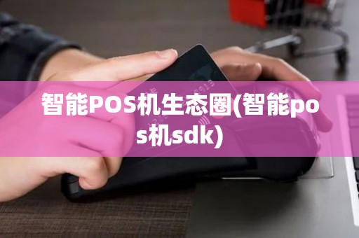 智能POS机生态圈(智能pos机sdk)