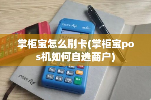 掌柜宝怎么刷卡(掌柜宝pos机如何自选商户)