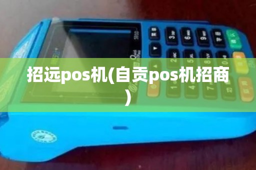 招远pos机(自贡pos机招商)