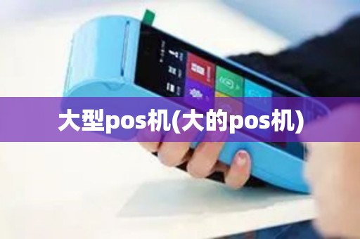 大型pos机(大的pos机)