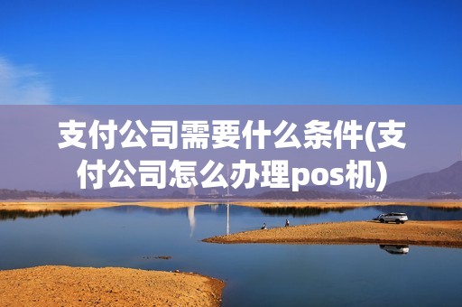 支付公司需要什么条件(支付公司怎么办理pos机)