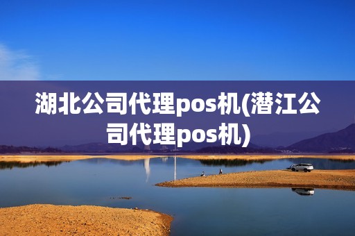 湖北公司代理pos机(潜江公司代理pos机)