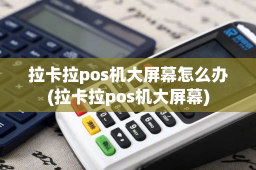 拉卡拉pos机大屏幕怎么办(拉卡拉pos机大屏幕)