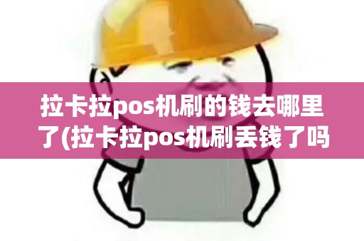 拉卡拉pos机刷的钱去哪里了(拉卡拉pos机刷丢钱了吗)