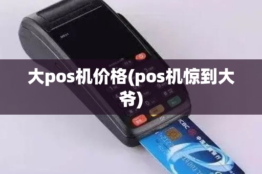 大pos机价格(pos机惊到大爷)