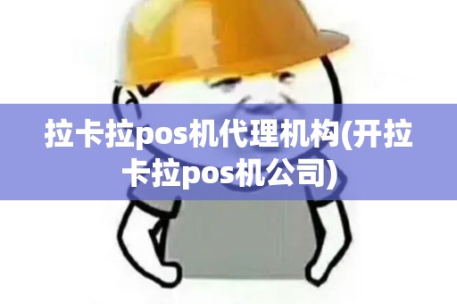 拉卡拉pos机代理机构(开拉卡拉pos机公司)