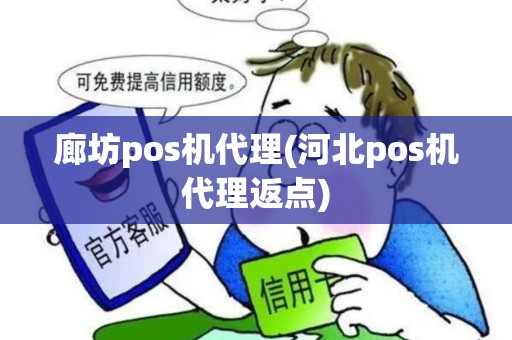 廊坊pos机代理(河北pos机代理返点)