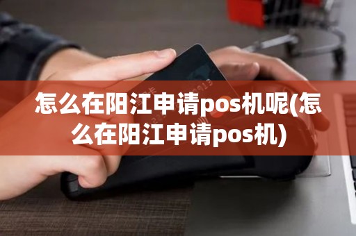 怎么在阳江申请pos机呢(怎么在阳江申请pos机)