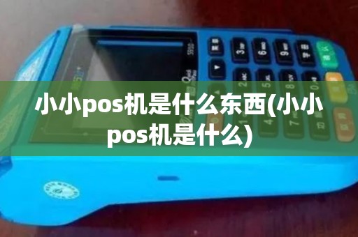 小小pos机是什么东西(小小pos机是什么)
