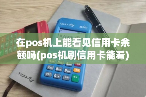 在pos机上能看见信用卡余额吗(pos机刷信用卡能看)