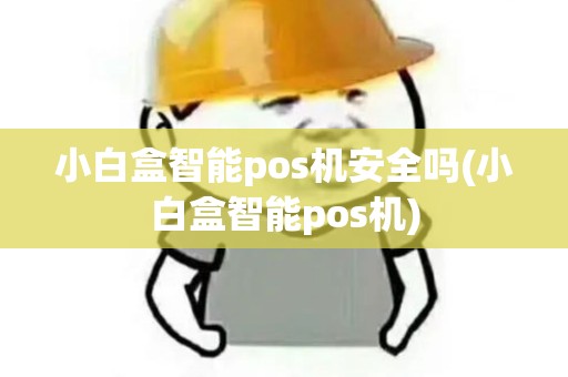 小白盒智能pos机安全吗(小白盒智能pos机)