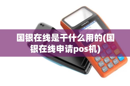 国银在线是干什么用的(国银在线申请pos机)