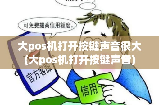 大pos机打开按键声音很大(大pos机打开按键声音)