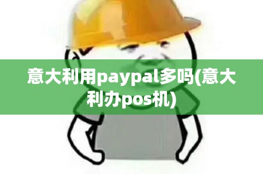意大利用paypal多吗(意大利办pos机)