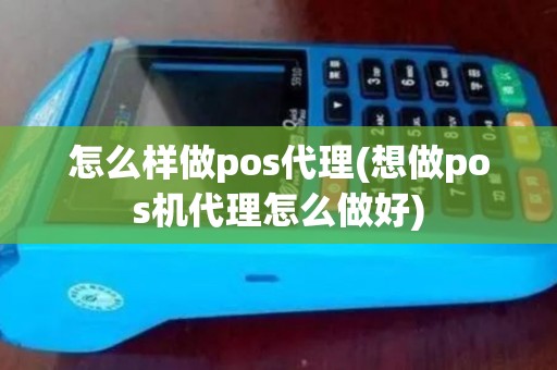 怎么样做pos代理(想做pos机代理怎么做好)